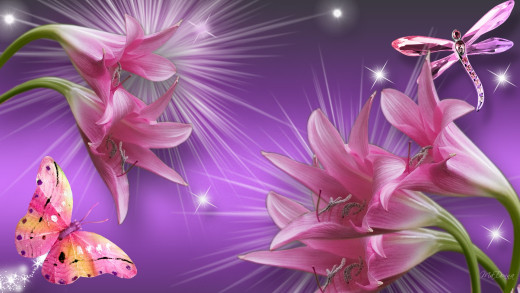 621793 (a): :1920x1080